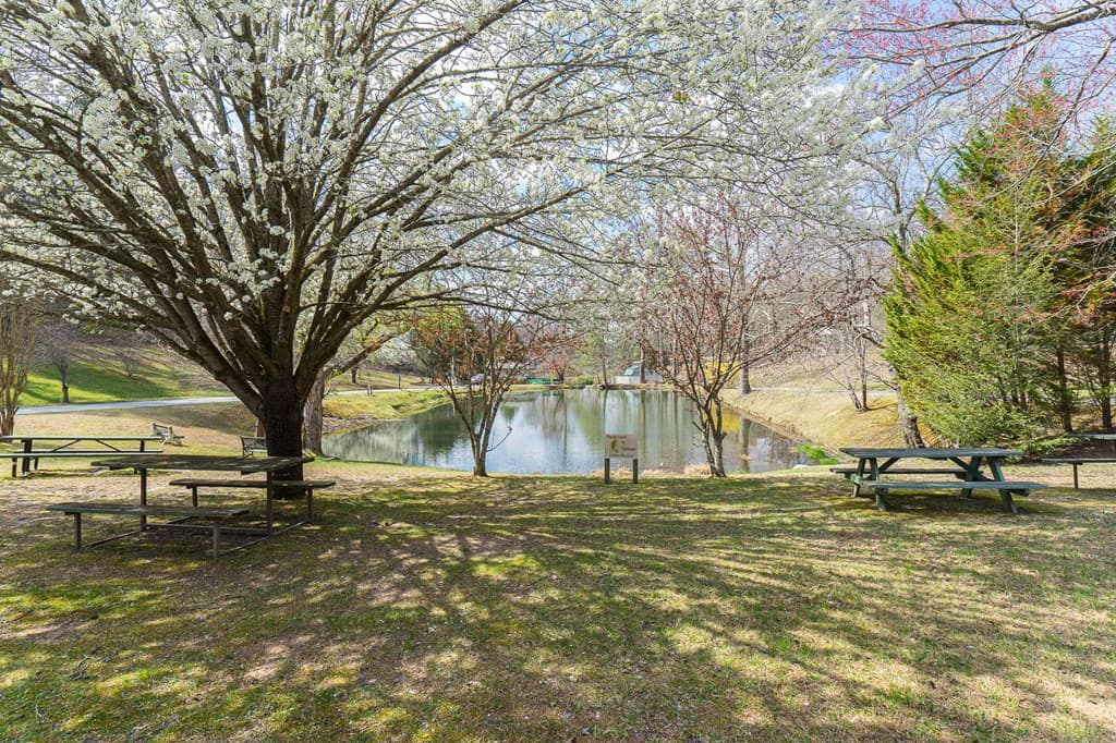 509 Lonesome Pine Road, Murphy NC 28906 - Photo