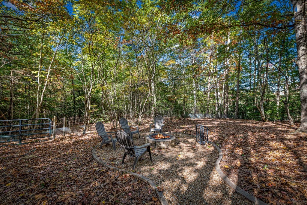 196 Ethan Wilson Way, Morganton GA 30560 - Photo