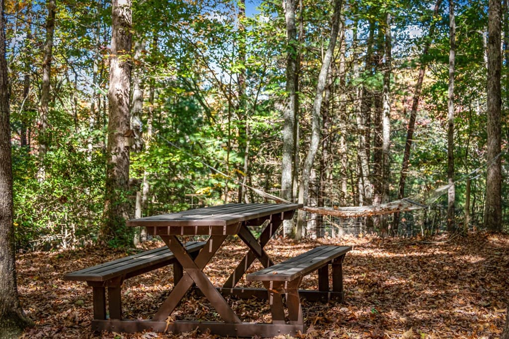196 Ethan Wilson Way, Morganton GA 30560 - Photo