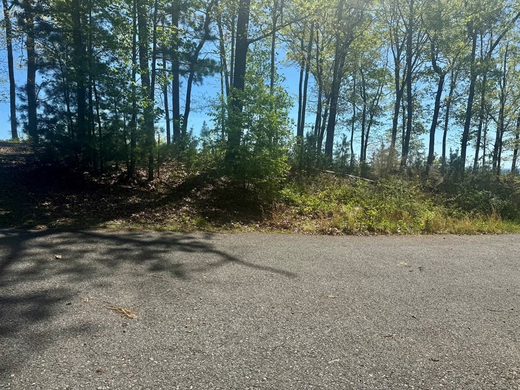 0 Wayah Ridge, Murphy NC 28906 - Photo
