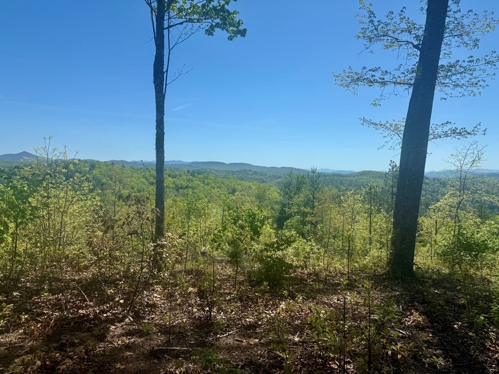 0 Wayah Ridge, Murphy NC 28906 - Photo