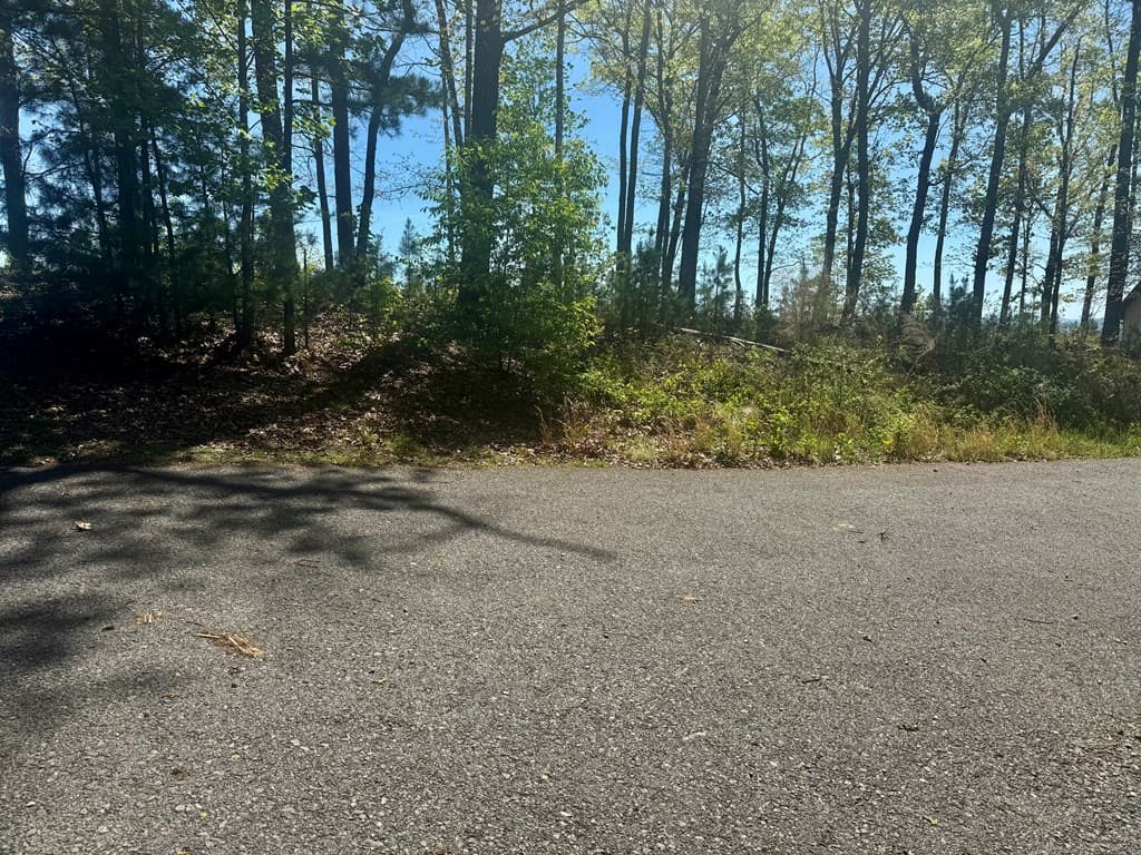 0 Wayah Ridge, Murphy NC 28906 - Photo