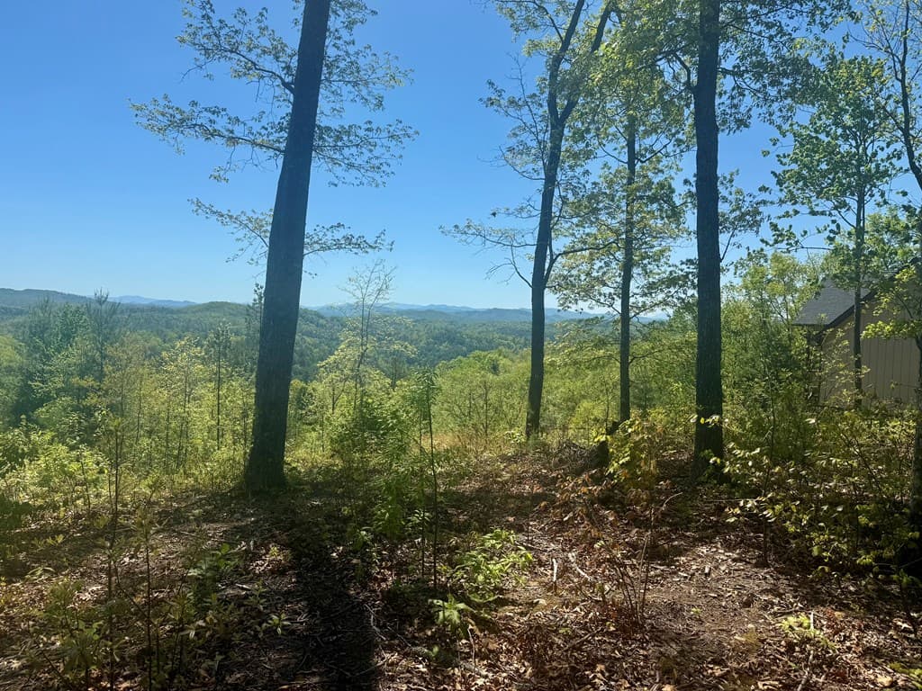 0 Wayah Ridge, Murphy NC 28906 - Photo