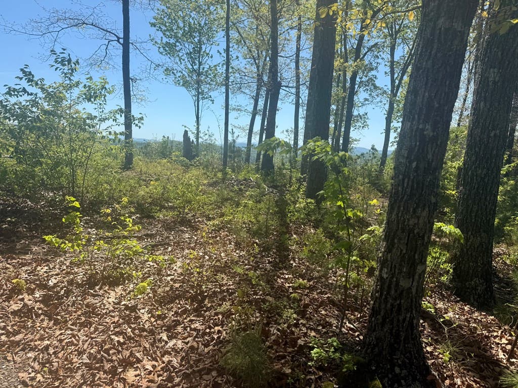 0 Wayah Ridge, Murphy NC 28906 - Photo