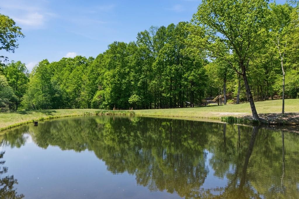 1837 Deep South Farm Road, Blairsville GA 30512 - Photo