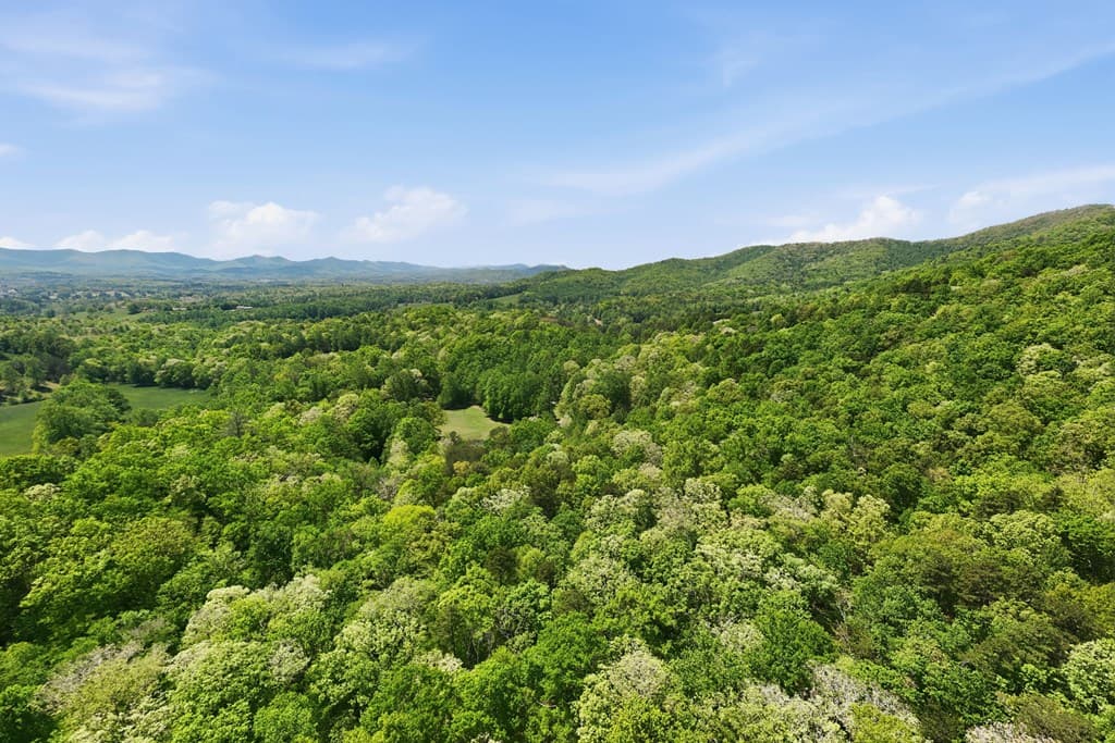 1837 Deep South Farm Road, Blairsville GA 30512 - Photo