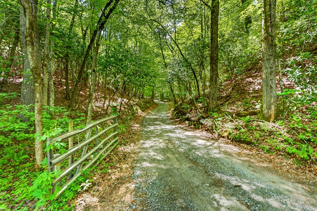1171 Dogwood Lane, Mineral Bluff GA 30559 - Photo