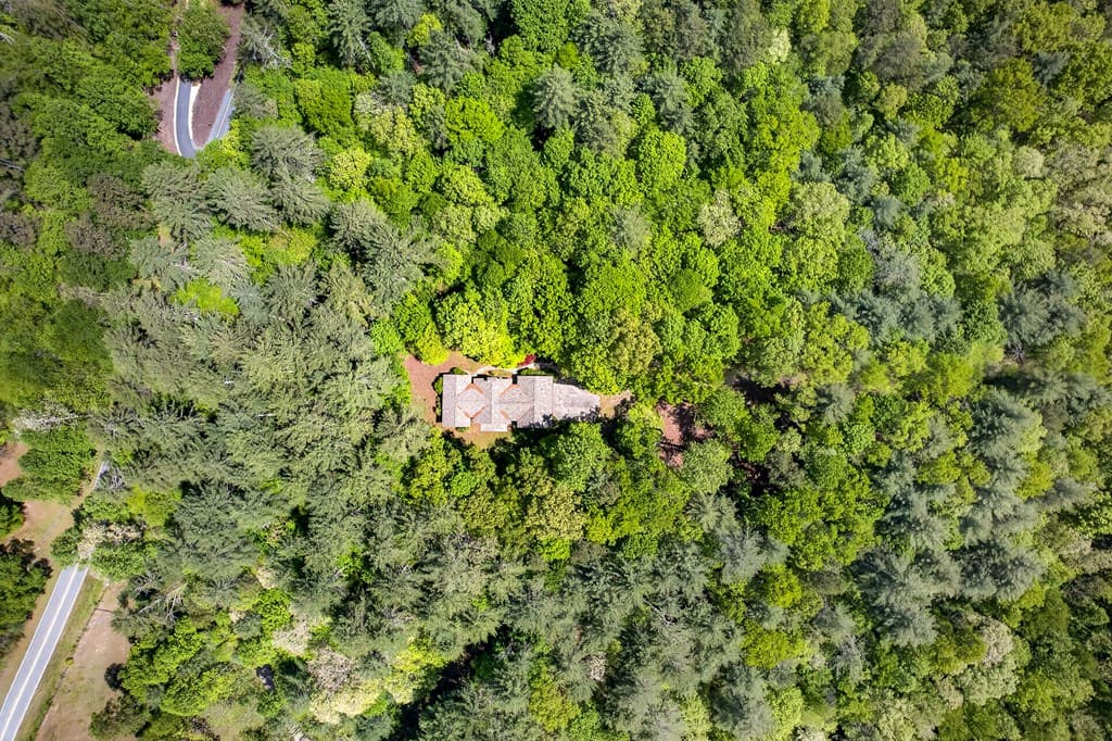 1171 Dogwood Lane, Mineral Bluff GA 30559 - Photo