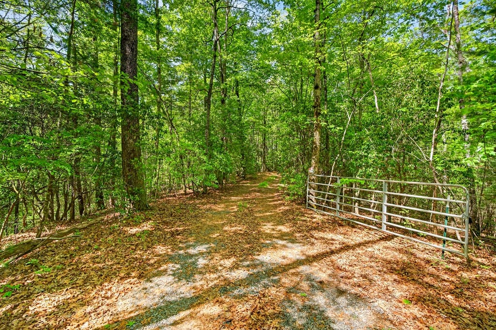 1171 Dogwood Lane, Mineral Bluff GA 30559 - Photo