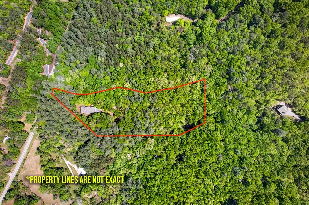 1171 Dogwood Lane, Mineral Bluff GA 30559 - Photo
