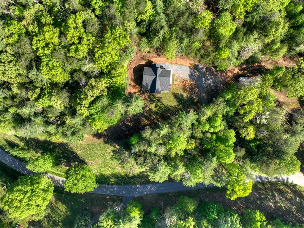 1186 Ritchie Creek Road, Blue Ridge GA 30513 - Photo
