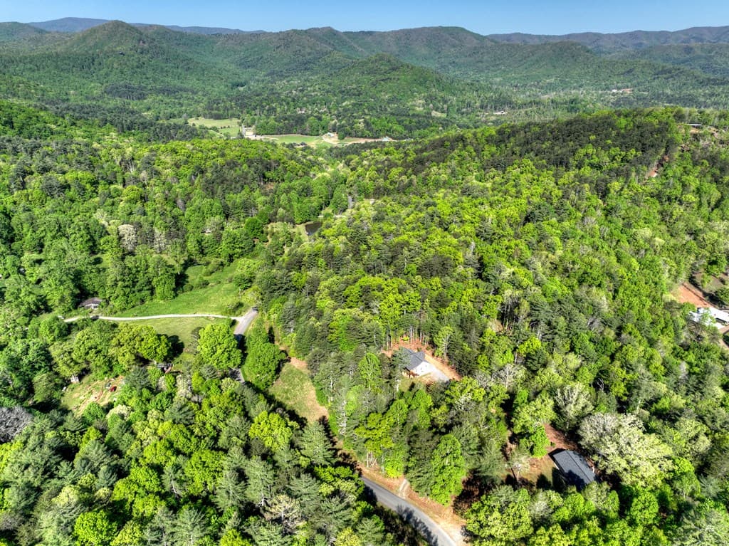 1186 Ritchie Creek Road, Blue Ridge GA 30513 - Photo