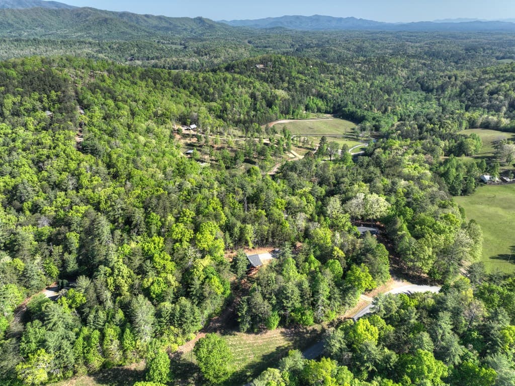 1186 Ritchie Creek Road, Blue Ridge GA 30513 - Photo