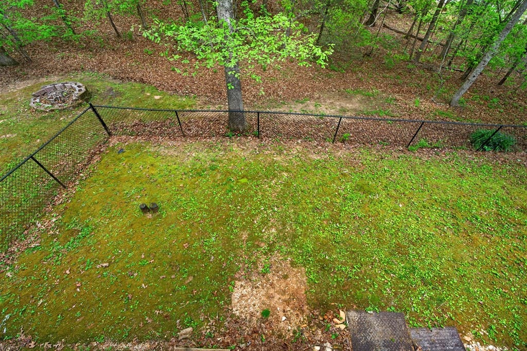 80 Sowers Road, Blue Ridge GA 30513 - Photo