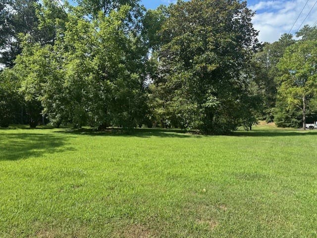 0 Call Wright Road, Ellijay GA 30540 - Photo