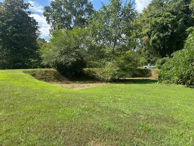 0 Call Wright Road, Ellijay GA 30540 - Photo