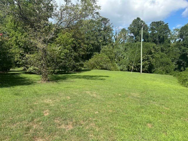 0 Call Wright Road, Ellijay GA 30540 - Photo