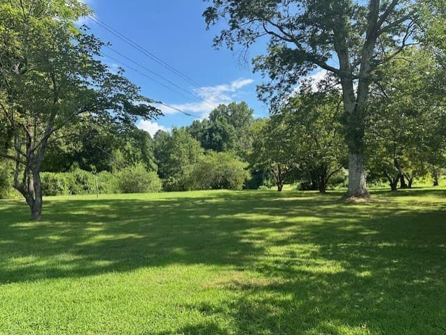 0 Call Wright Road, Ellijay GA 30540 - Photo