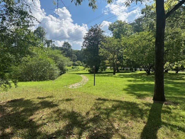 0 Call Wright Road, Ellijay GA 30540 - Photo