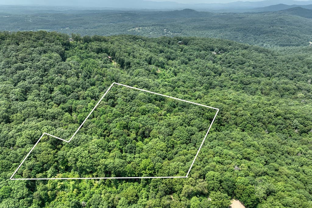 7.89 AC Laurel Springs Road, Mineral Bluff GA 30559 - Photo