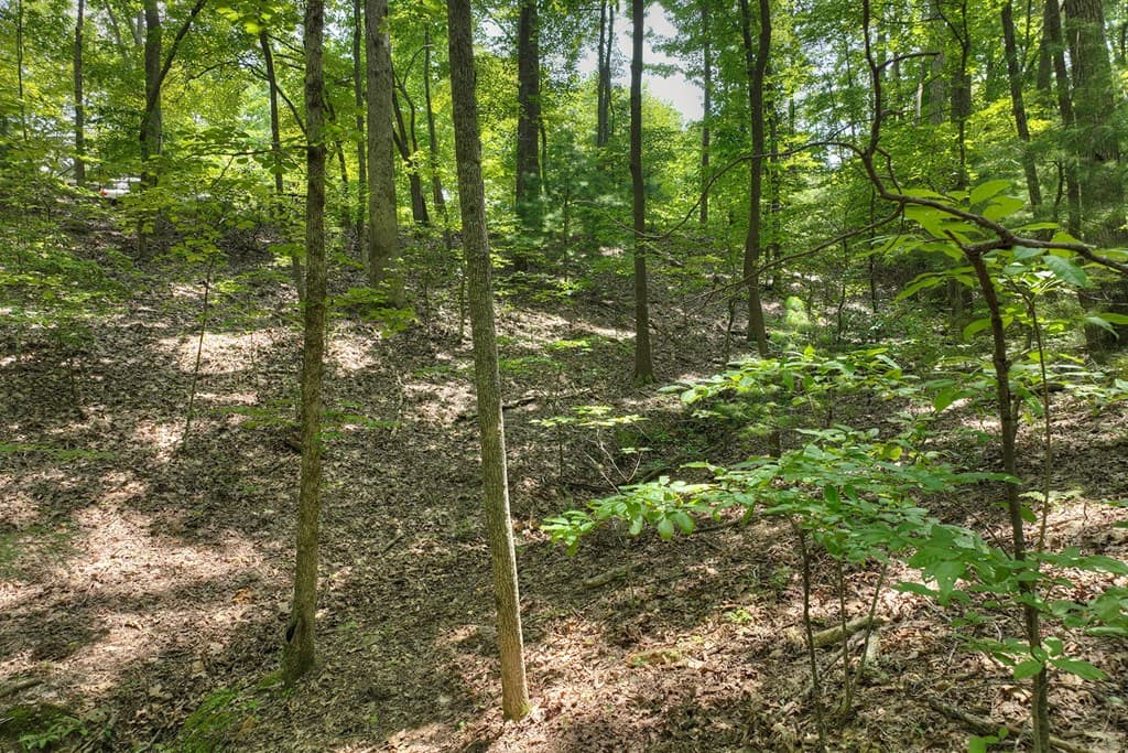 7.89 AC Laurel Springs Road, Mineral Bluff GA 30559 - Photo