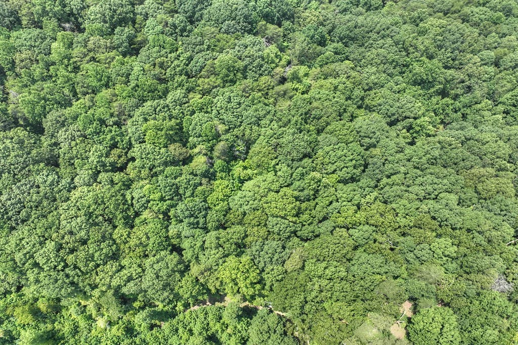 7.89 AC Laurel Springs Road, Mineral Bluff GA 30559 - Photo