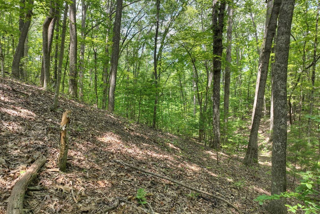 7.89 AC Laurel Springs Road, Mineral Bluff GA 30559 - Photo