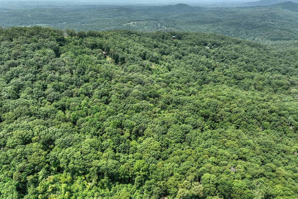 7.89 AC Laurel Springs Road, Mineral Bluff GA 30559 - Primary photo
