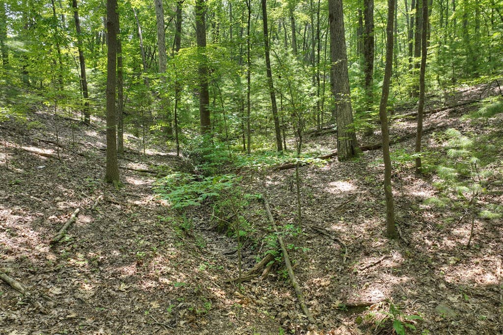 7.89 AC Laurel Springs Road, Mineral Bluff GA 30559 - Photo