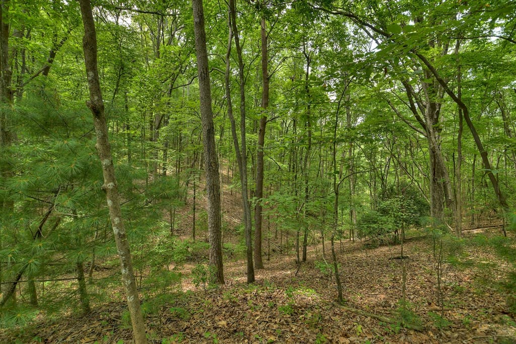 7.89 AC Laurel Springs Road, Mineral Bluff GA 30559 - Photo