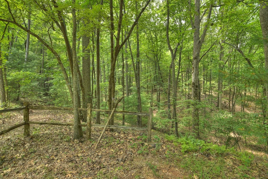 7.89 AC Laurel Springs Road, Mineral Bluff GA 30559 - Photo