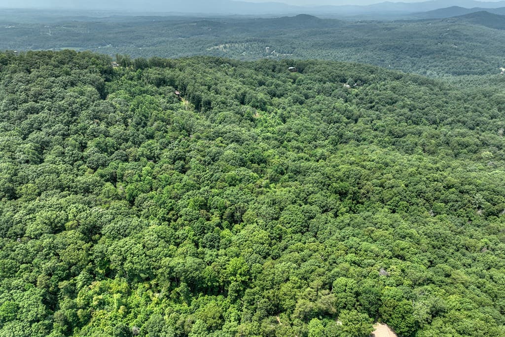 7.89 AC Laurel Springs Road, Mineral Bluff GA 30559 - Photo