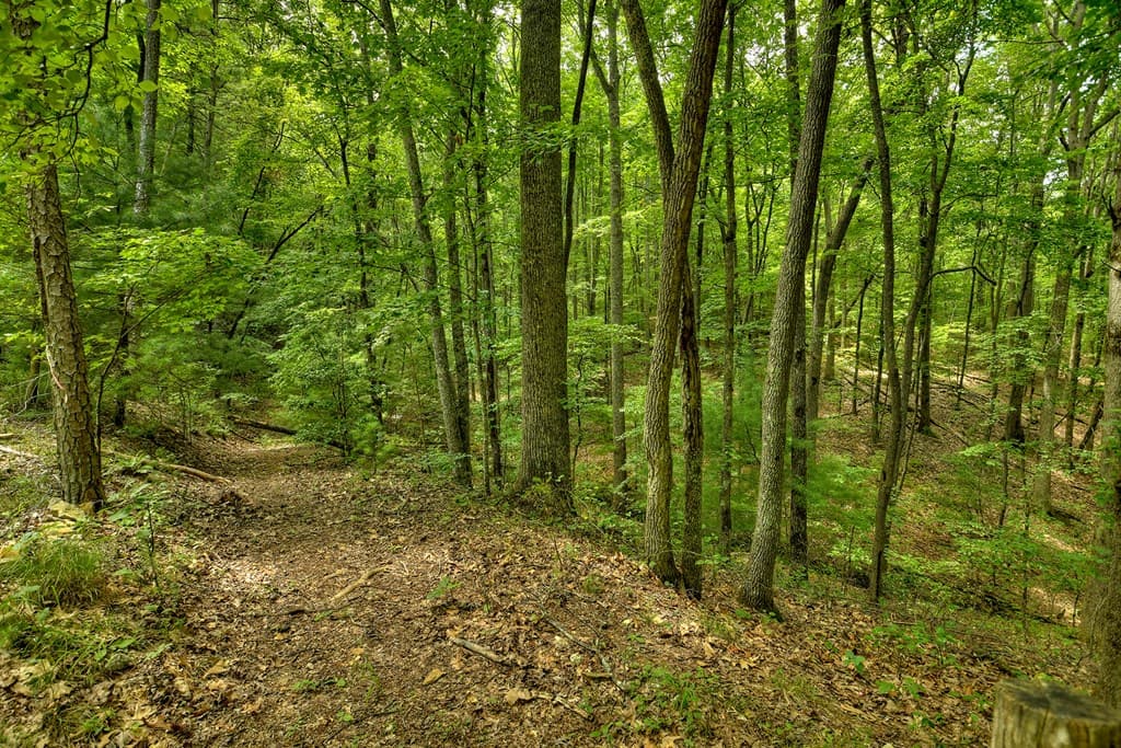 7.89 AC Laurel Springs Road, Mineral Bluff GA 30559 - Photo