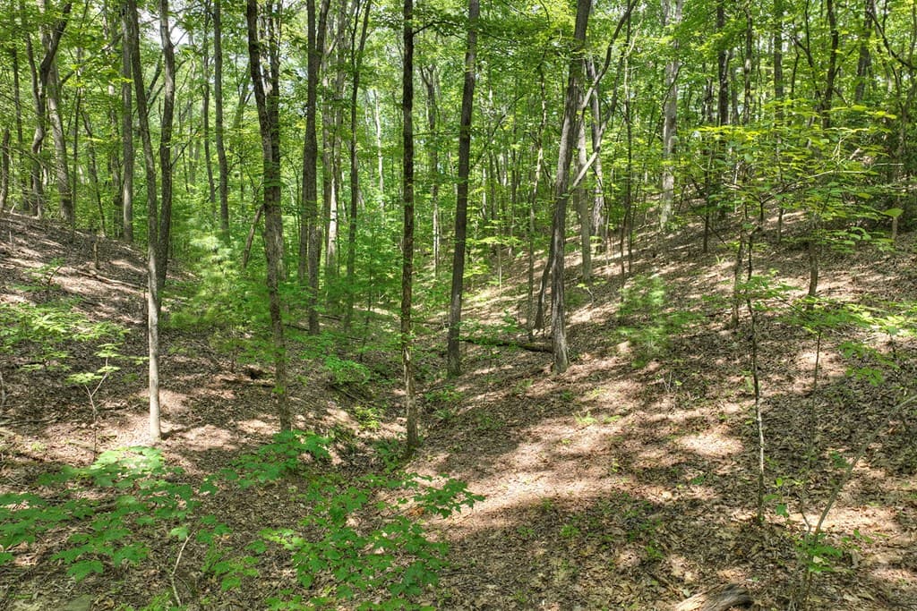 7.89 AC Laurel Springs Road, Mineral Bluff GA 30559 - Photo