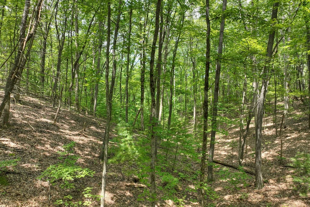 7.89 AC Laurel Springs Road, Mineral Bluff GA 30559 - Photo