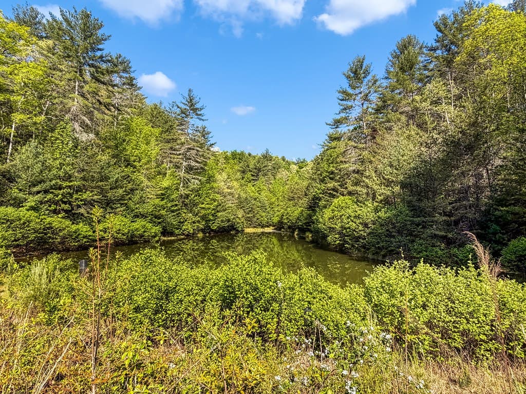 80 Acres Valley Lake Road, Mineral Bluff GA 30559 - Photo