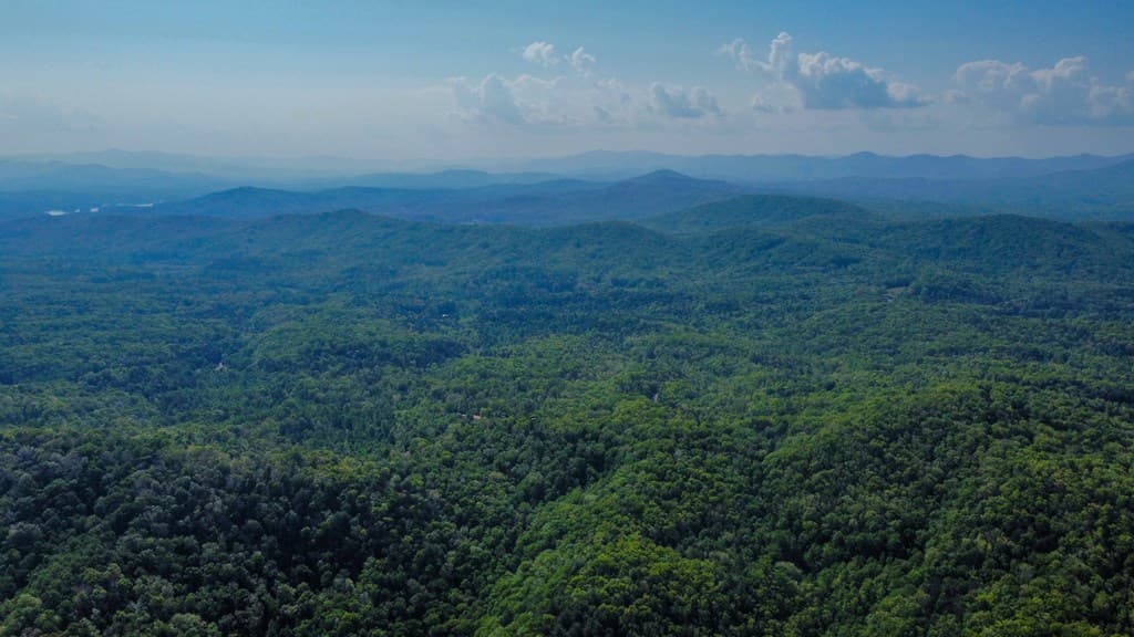80 Acres Valley Lake Road, Mineral Bluff GA 30559 - Photo