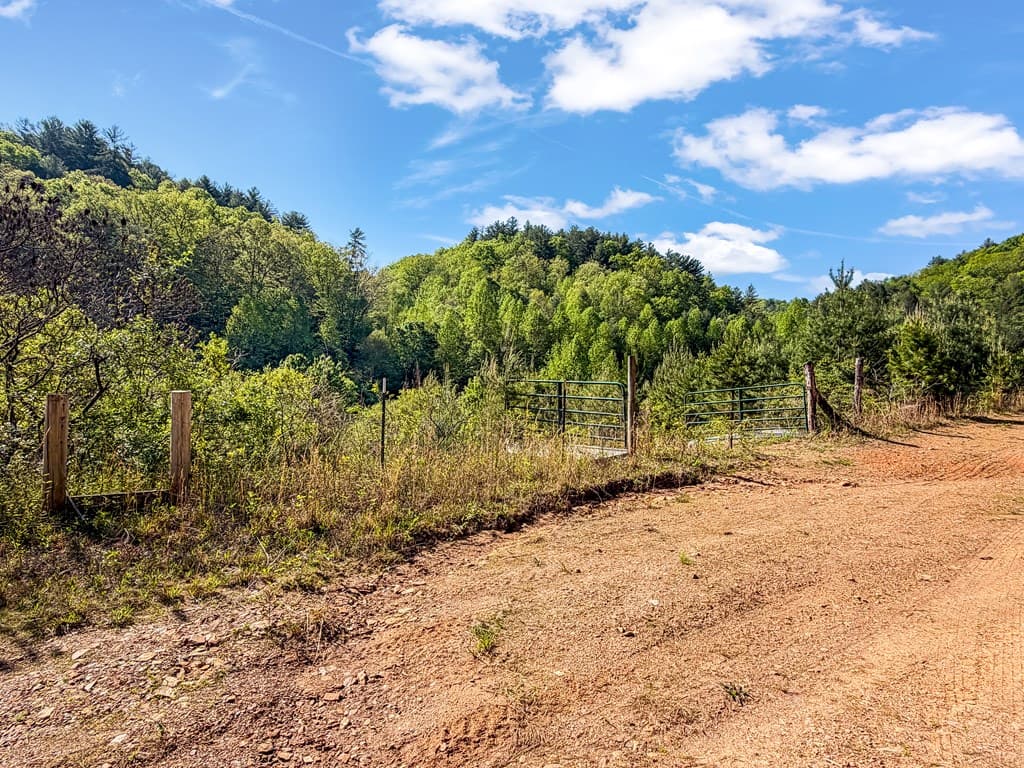80 Acres Valley Lake Road, Mineral Bluff GA 30559 - Photo