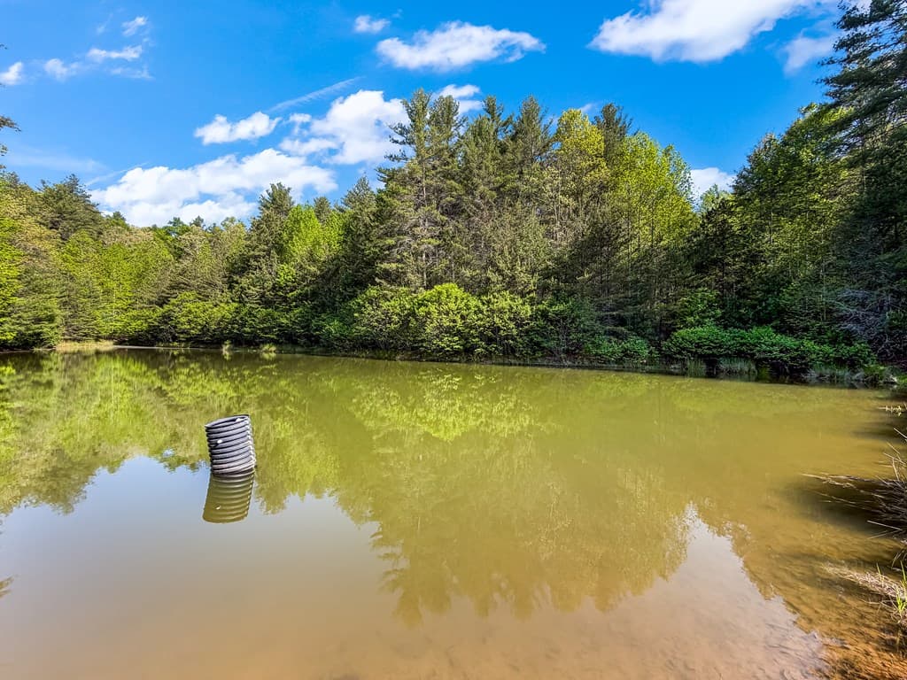 80 Acres Valley Lake Road, Mineral Bluff GA 30559 - Photo