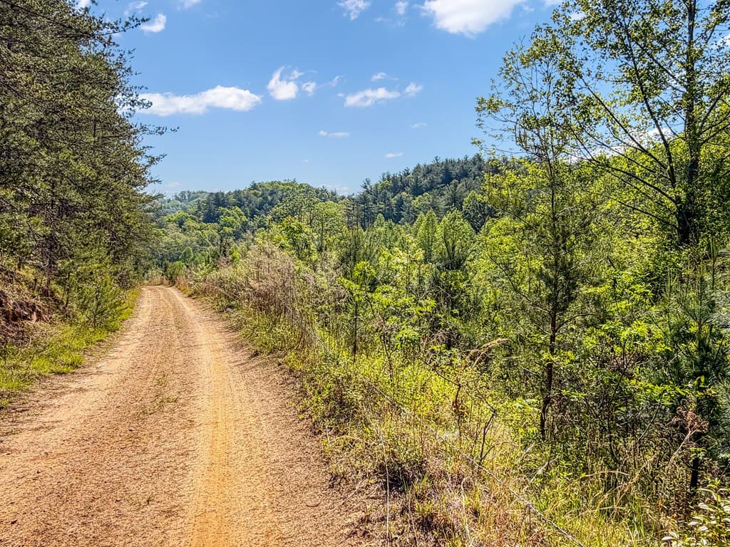 80 Acres Valley Lake Road, Mineral Bluff GA 30559 - Photo