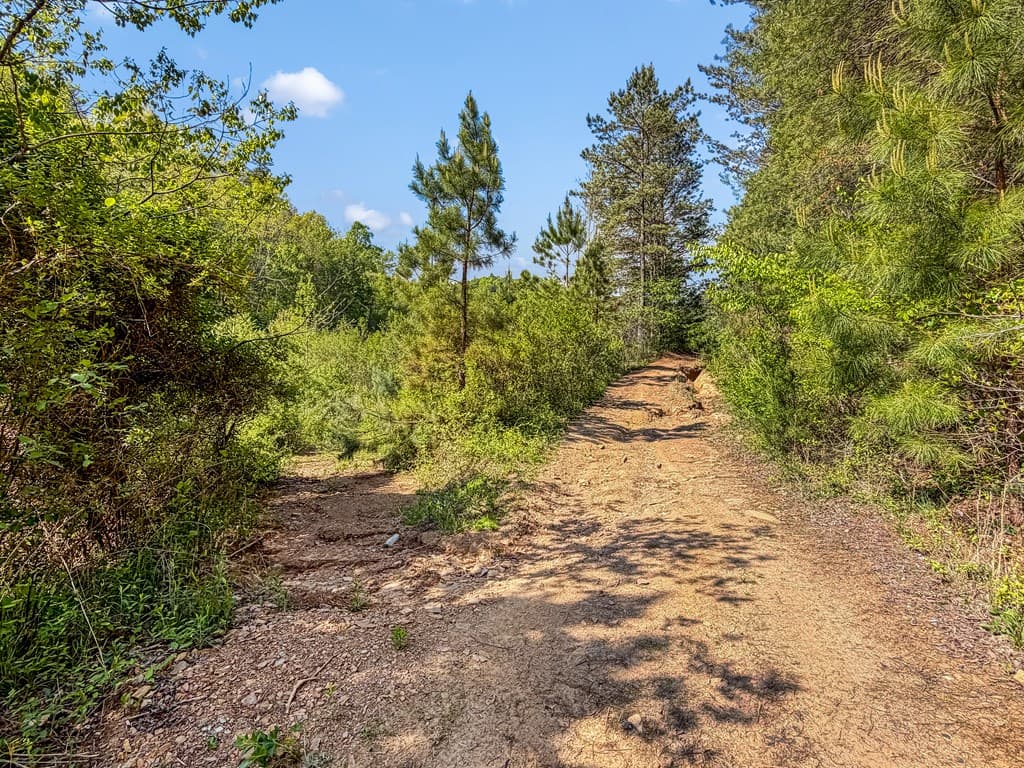 80 Acres Valley Lake Road, Mineral Bluff GA 30559 - Photo