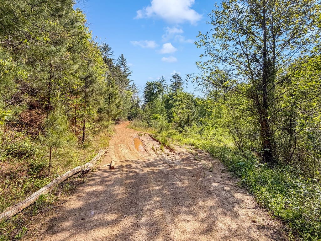 80 Acres Valley Lake Road, Mineral Bluff GA 30559 - Photo