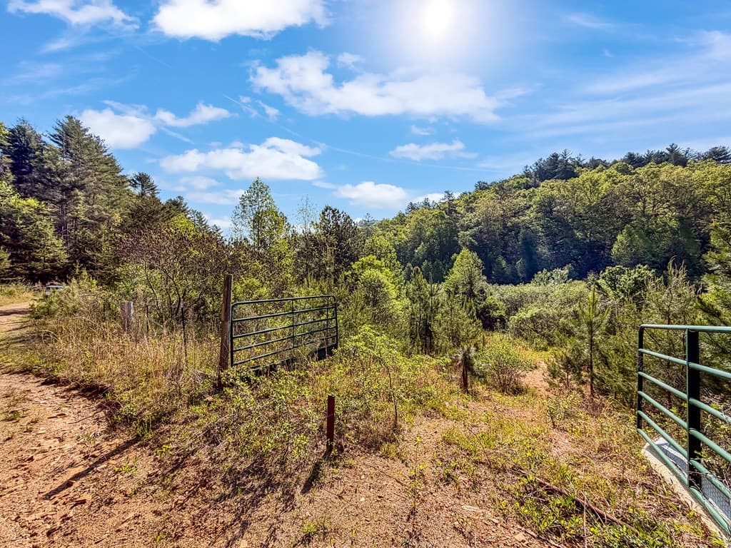 80 Acres Valley Lake Road, Mineral Bluff GA 30559 - Photo