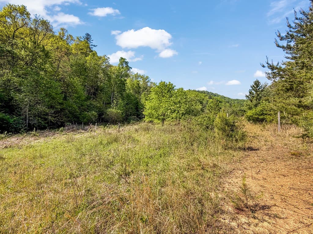 80 Acres Valley Lake Road, Mineral Bluff GA 30559 - Photo
