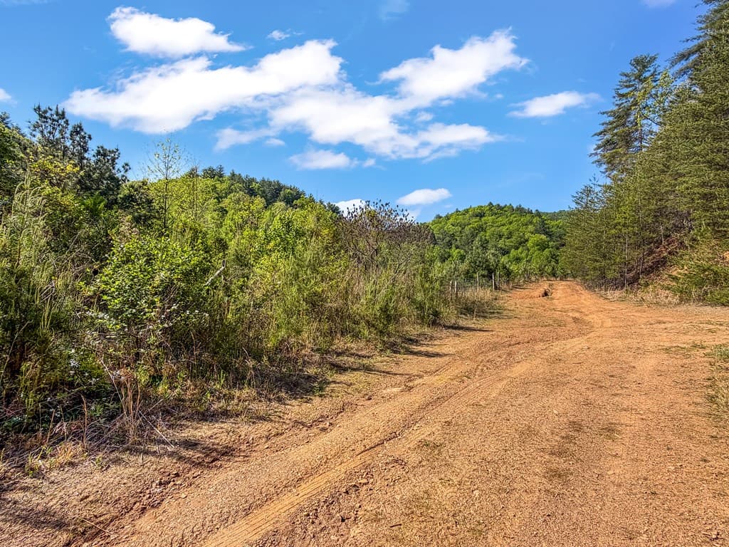 80 Acres Valley Lake Road, Mineral Bluff GA 30559 - Photo