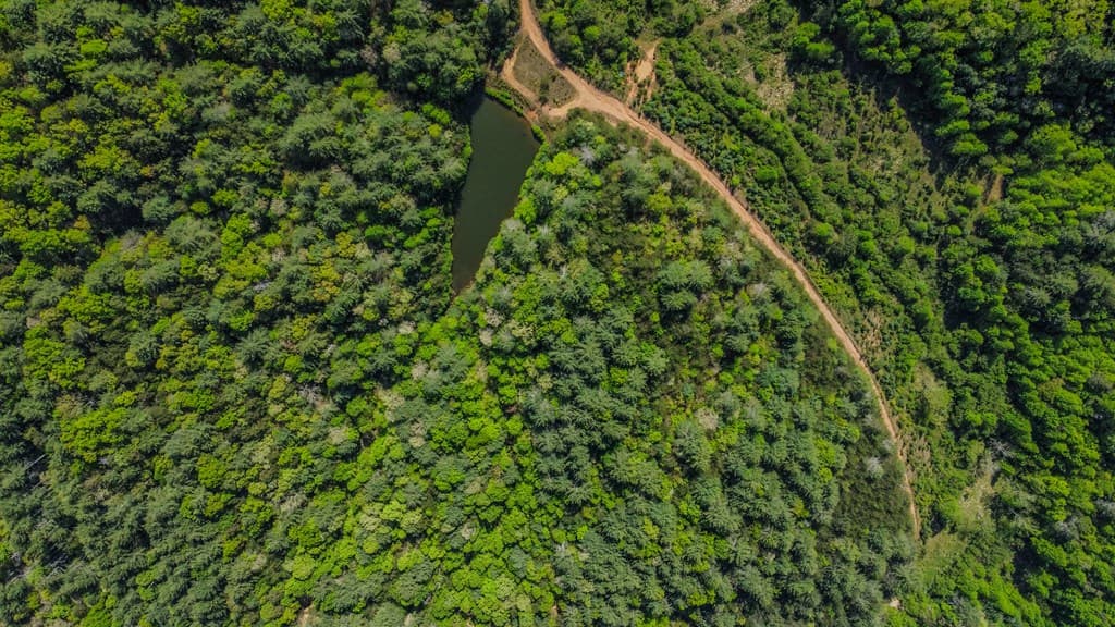80 Acres Valley Lake Road, Mineral Bluff GA 30559 - Photo