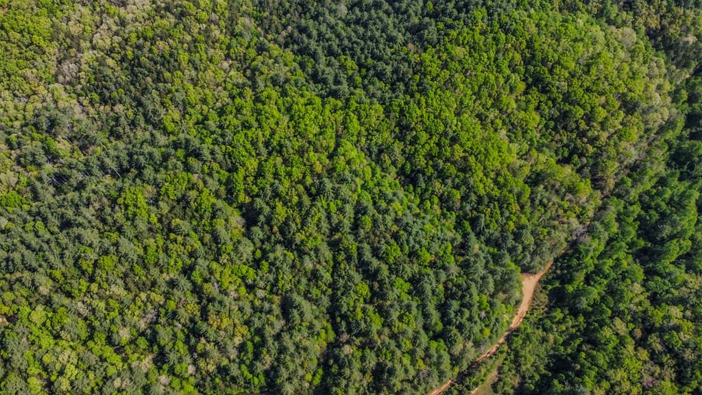80 Acres Valley Lake Road, Mineral Bluff GA 30559 - Photo