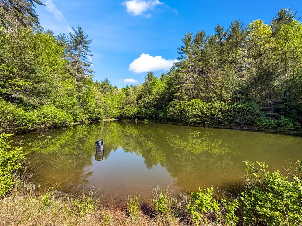 80 Acres Valley Lake Road, Mineral Bluff GA 30559 - Photo