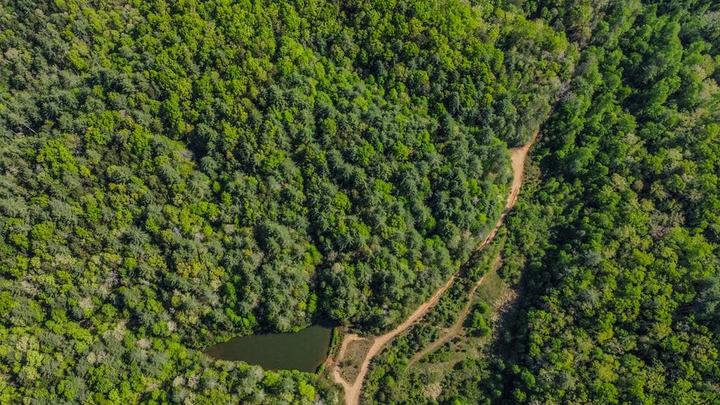 80 Acres Valley Lake Road, Mineral Bluff GA 30559 - Photo