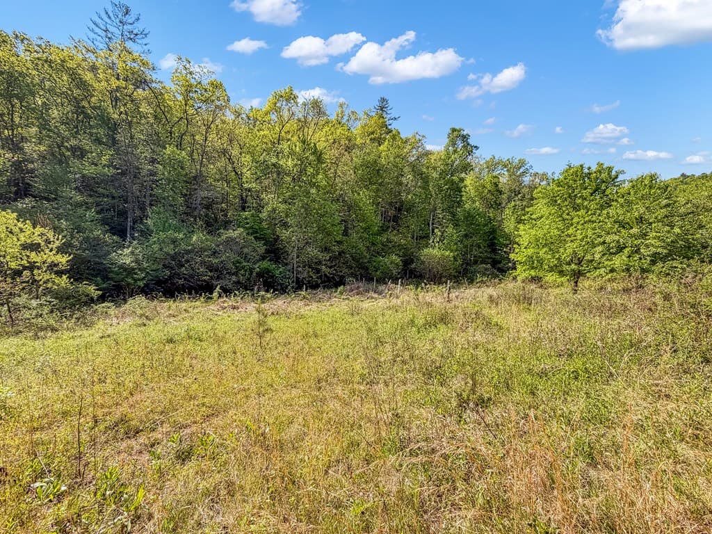 80 Acres Valley Lake Road, Mineral Bluff GA 30559 - Photo